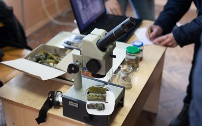 «День майбутнього студента»