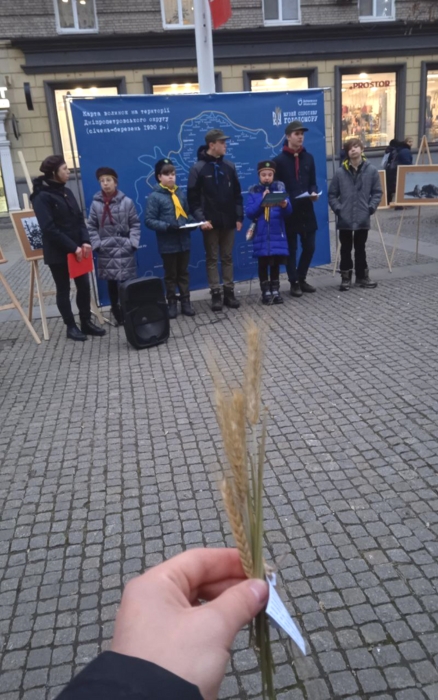 Акція до Дня пам’яті жертв Голодоморів_5