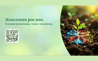 У ННІ УДХТУ стартував спільний освітній проєкт із Магдалинівським ПТУ №88