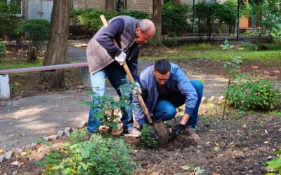 В ННІ УДХТУ провели традиційну осінню толоку