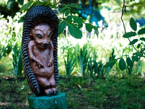 afba3e7eb1e0ab74431d2c0903d2f01c